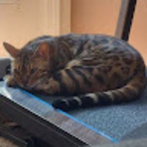 Meet your Posher, Pawinee